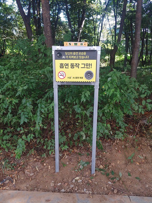 0.jpg